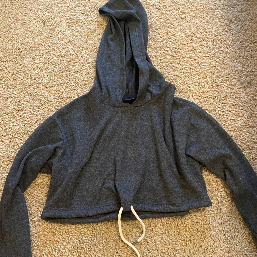 Gray Urban Outfitters Cropped Hooded Sweatshirt